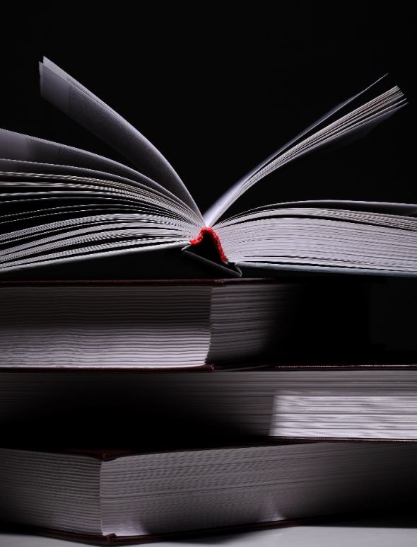 Literatūras Ceļvedis